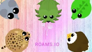 First impressions roams.io #mope #roams