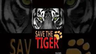 Save tiger |Save tiger save earth | Save Environment
