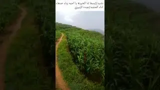 @جديد_نشيد