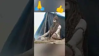 Roman Reigns Visits Maha Kumbh Mela 2025: A Wrestling Legend's Spiritual Journey