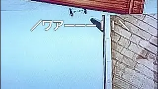 鯉のぼり好き平成生まれの遊び　Wii東京フレンドパーク　スーパーホイールアドベンチャー