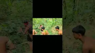 জঙ্গির হাতে সাপুড়ে 😁 