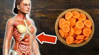 6 Gr&uuml;nde weshalb du MEHR Karotten essen solltest💥(UNGLAUBLICHE Vorteile)🤯