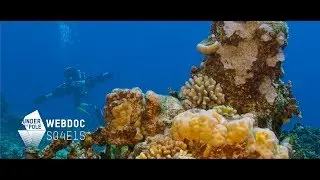 UNDER THE POLE III • S04E15 • Clap de fin