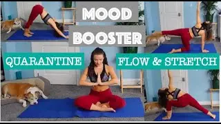 AT HOME QUARANTINE WORKOUT TO IMPROVE MOOD - Energizing FLOW & STRETCH to awaken the BODY & MIND