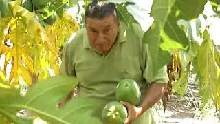 El Agro - El arbitro que dejó las canchas para dedicarse a la agricultura