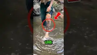 River Horror: What's On His Legs?! #shorts