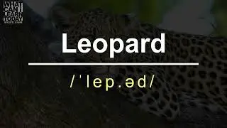 How to pronounce the word 