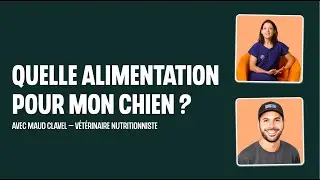 Quelle alimentation choisir pour son chien ? (avec Maud Clavel, v&eacute;t&eacute;rinaire nutritionniste)