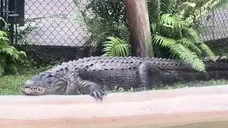 Flamingo Gardens in Davie Florida