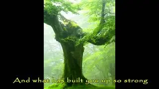 L'Abre Fee de Bourlemont - The Song of the Children