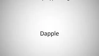 How to say Dapple in English?