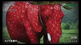 Cartoon - On & On | Strawberry Elephant Theme Song (Slowed + Reverbed)