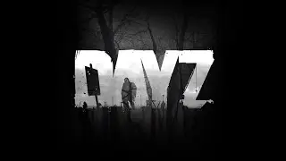 DayZ Raid & Combat log