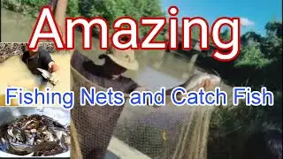 Ep.44: Amazing Asian Traditional Fishing Nets and Catch lots of Fish in Riverside by People Village