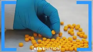 Will US sanctions on cartel affiliates have impact on drug trafficking at border? | NewsNation Now
