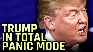 Trump Sends Out Panicked Fundraising Email As Kamala Crushes Him