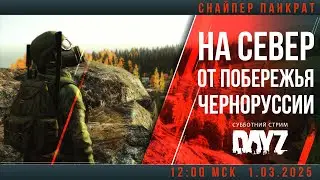 #DayZ На Север от Побережья Черноруссии #россия #gameplay #sniper