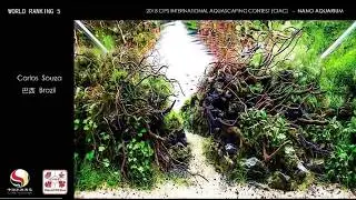 Most Beautiful Aquascapes,CIPS 2018 AQUASCAPING CONTEST(CIAC),TOP30