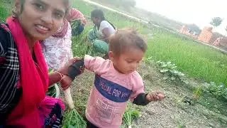 Pahle doston dekh sakte hain lahsun Ke Khet Mein Aaye Hain