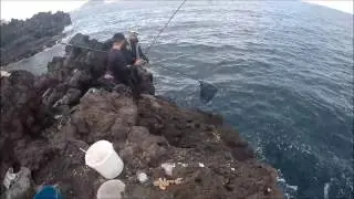 Pesca de palometas a boya y bombeta ¡Qué divertidas!