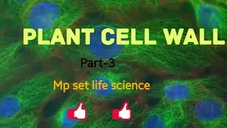 Mp set life science exam  ke liye important topic plant Cell Wall