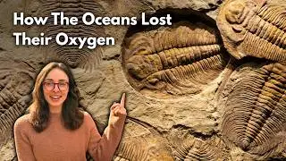 New Study Investigates What Caused the the Late Devonian Mass Extinction