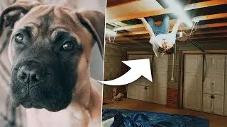 Playing HIDE & SEEK with my NEW PUPPY in my NEW HOUSE