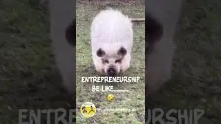 happy as a pig in mug #creativeentrepreneurship #businessmindset #businessideas