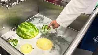 Antimicrobial Fruit & Veg Treatment