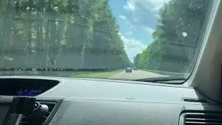 Forest corridors- Georgia (on I-295)
