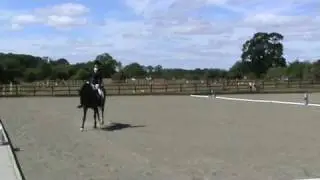 Emma Chamberlain on Illustra Castle Hill Show