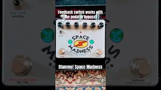 Blammo! Space Madness Delay feedback switch works in bypass! #delaypedal #pedalboards #guitarpedals