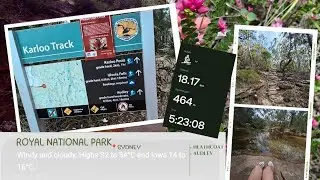 Hiking Royal National Park | Karloo Pools to Uloola Falls 🌸💧