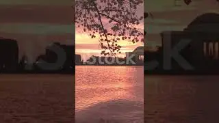 Discover the Tranquil Tidal Basin in Washington D.C. #WashingtonDC #CherryBlossoms #NatureEscape
