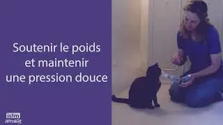 Unterrichten Sie jeder Katze AeroKat* - 4: Verlängerung der Dauer