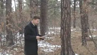 Home Video Walking Tour Larkspur Colorado!
