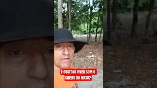 &eacute; gostoso viver com o cheiro do mato? #anistiaj&aacute;  #conservadores #familia #vidadaro&ccedil;a