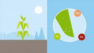 YaraVita&trade;: nutre tus cultivos con un efecto duradero