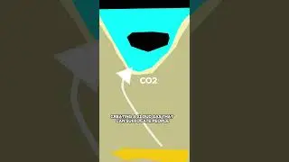 Lake Nyos Disaster - August 21st 1986