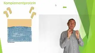 Immunförsvaret del 3(7)