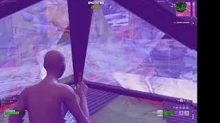 Playing fortnite with bro