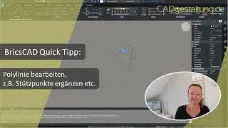 BricsCAD Tipp: Polylinie einfach(er) bearbeiten, Scheitelpunkte ergänzen, löschen etc.