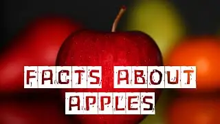 Interesting Facts About Apples