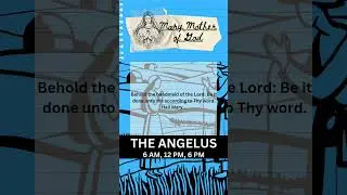 ANGELUS 6AM FOR JAN 27TH