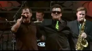 Dropkick Murphys 