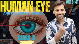 Human Eye and Colourful World in one Shot #Class 10 Science chapter 11 #BoardExams2026