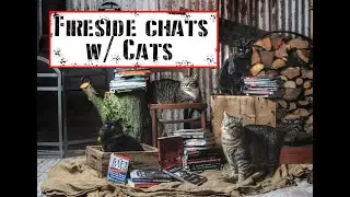Introduction self defense fireside chats