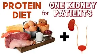 Protein Diet for Patients with One Kidney | Kidney Patients Diet Plan