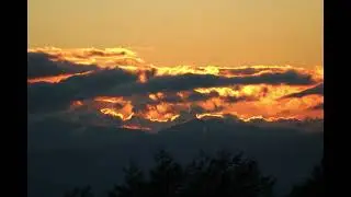 Let love flow /Ron Banks